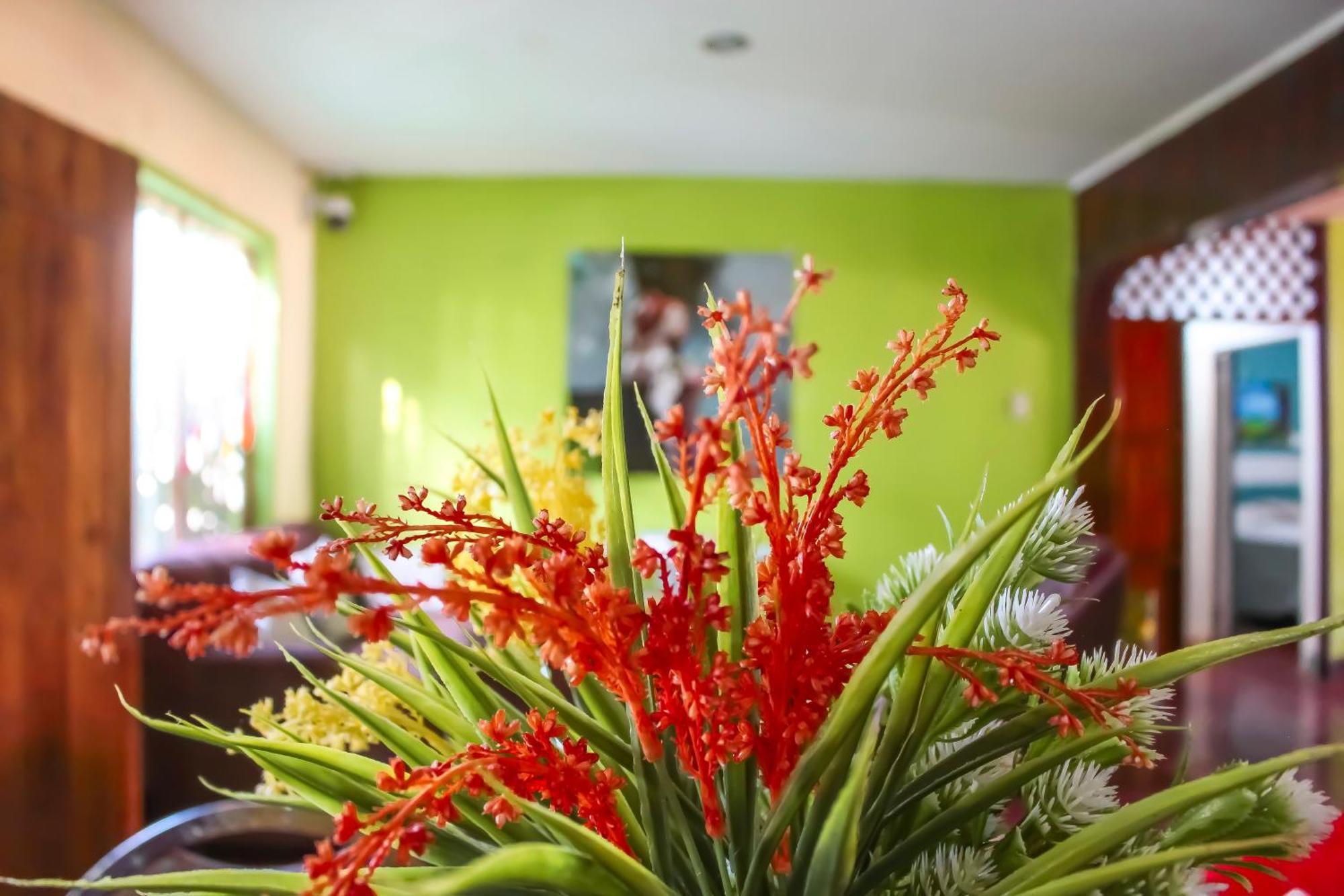 莫约加尔帕 Hostal Casa Mauro酒店 外观 照片